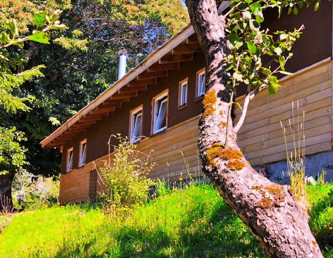 Elementos Eco Lodge Pucón Exteriör bild